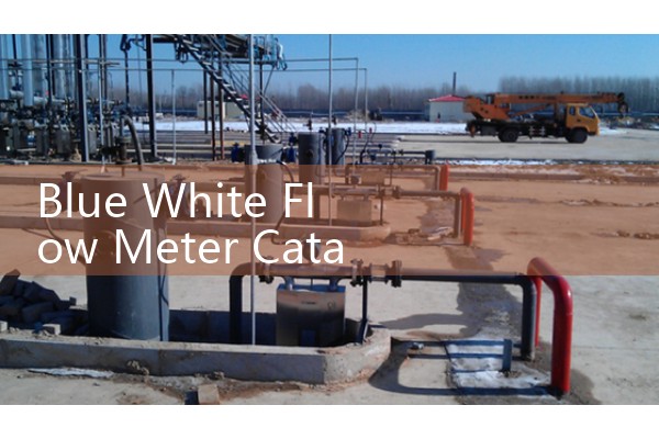 Blue White Flow Meter Catalogue: Sourcing Pitot Tube and Rotameter Portfolios
